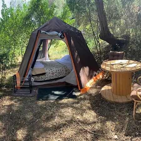 Pelekas Olive Grove Oasis Room No2 Lodge *