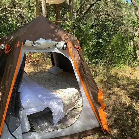 Lodge Pelekas Olive Grove Oasis Room No2