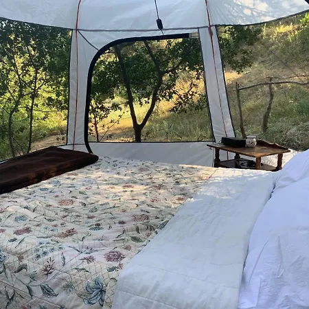 Pelekas Olive Grove Oasis Room No2 Corfu (city)