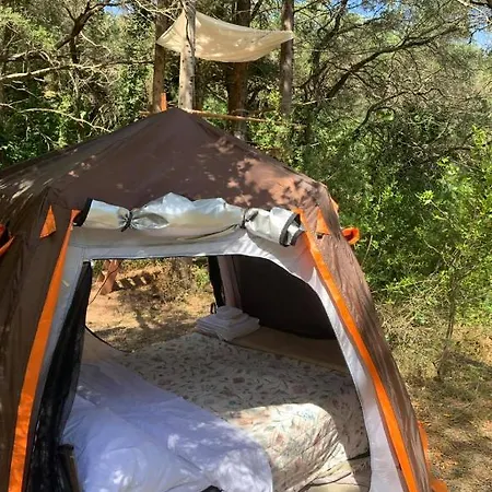 Pelekas Olive Grove Oasis Room No2 Lodge Corfu (city)